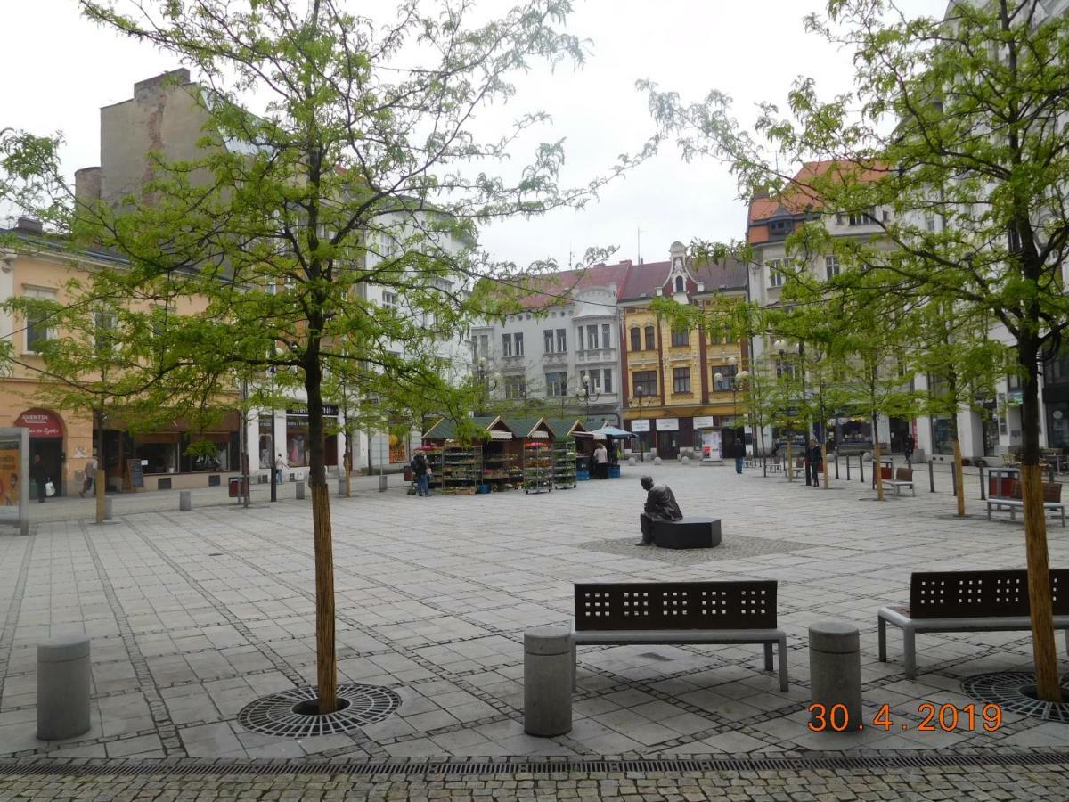 Ama Ubytovani Lejlighed Ostrava Eksteriør billede